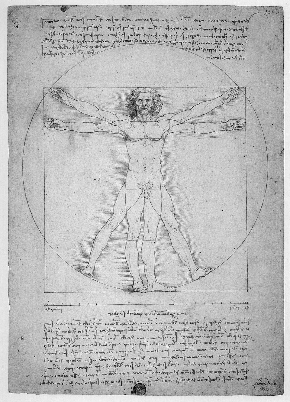 Leonardo da Vinci, Vitruvian Man